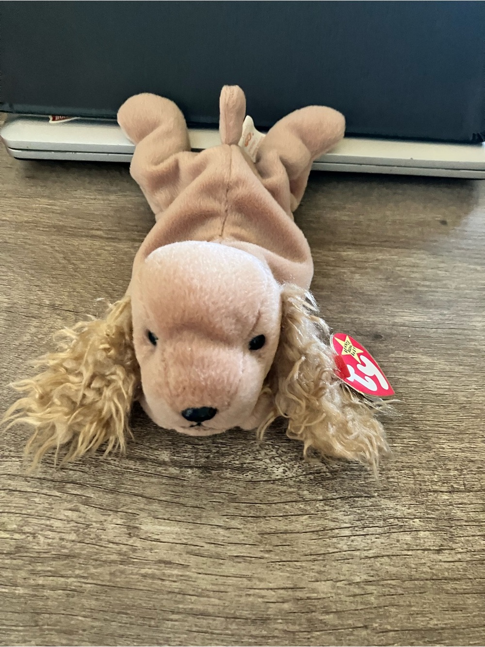 Ty Beanie Baby Beige Plush Cocker Spaniel Dog Toy   Spunky